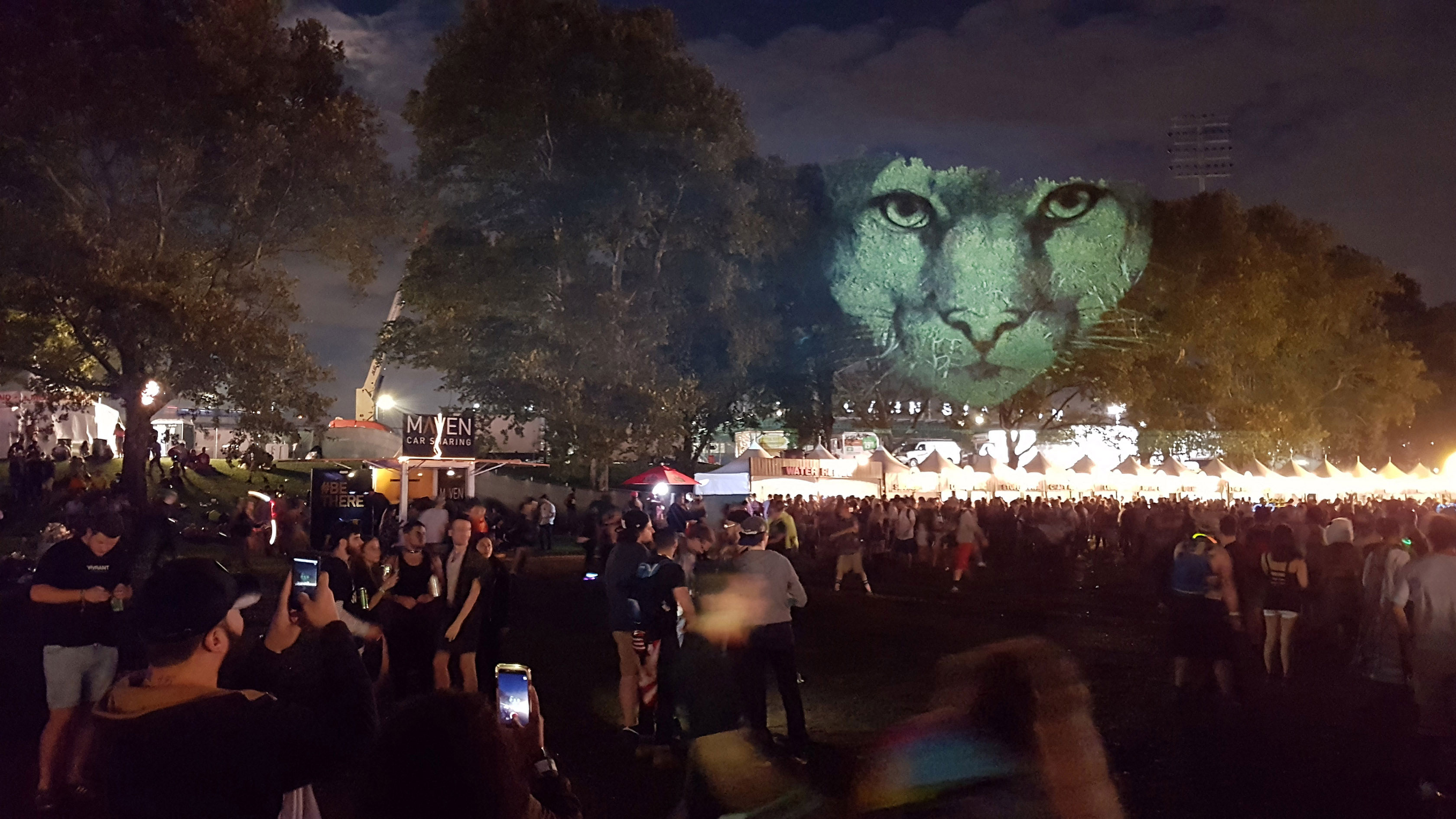 Electric Zoo Festival, NY - Animal Watching