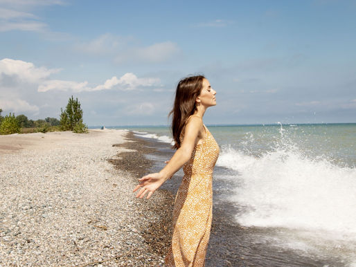 Road Trip to Rondeau Provincial Park