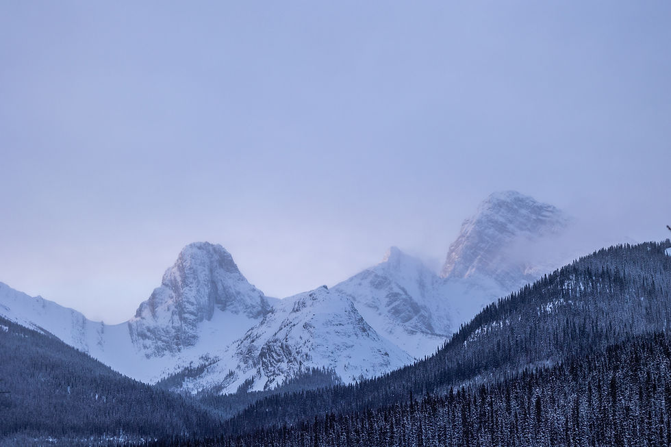 Landscape Mountain Photo from Mount Engadine Lodge