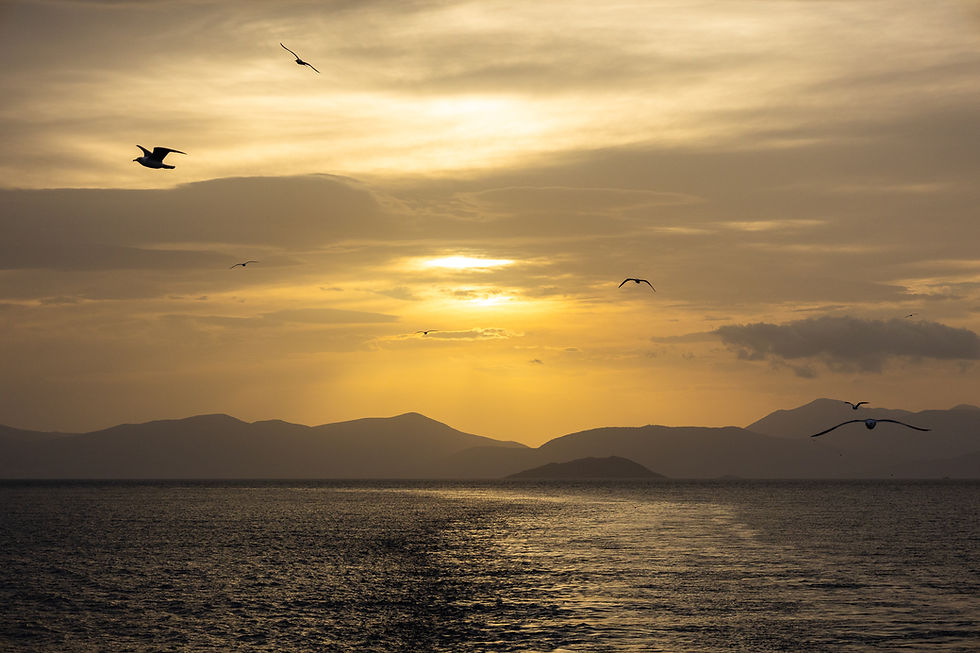 Discover the Best Greek Island Tours from Athens