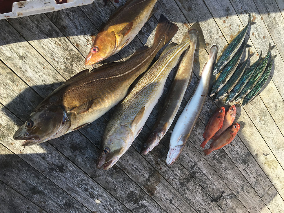 Her får man nesten alt det man kan ønske seg.