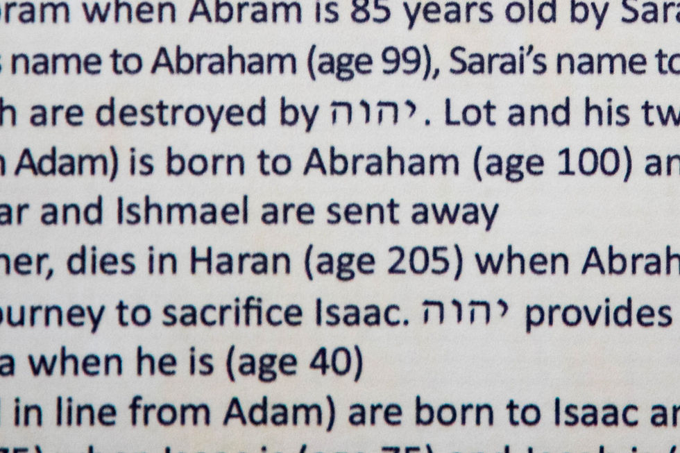Thumbnail: Tetra Scroll Bible Timeline - Vinyl