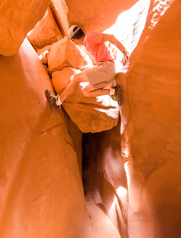 20200910_133324.jpg