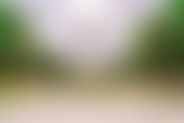 Greensboro downtown parks turn 8