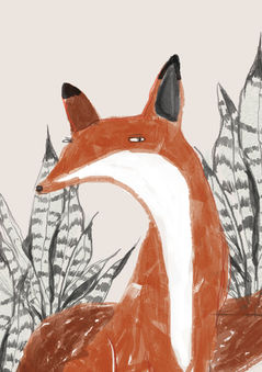Fox