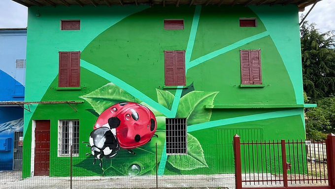 CONSORZIO BONIFICA OLIO-MELLA