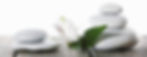 Home-Page Stone/Flower