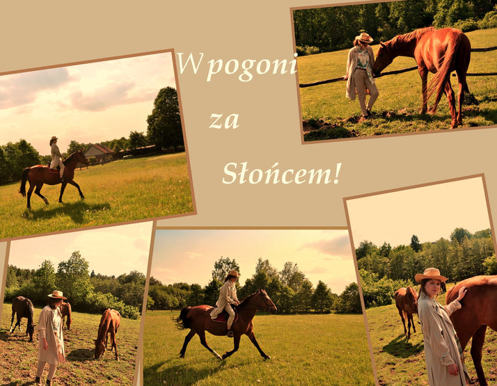 W pogoni za Słońcem!