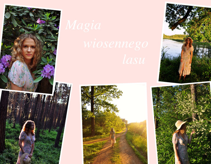 Magia wiosennego lasu