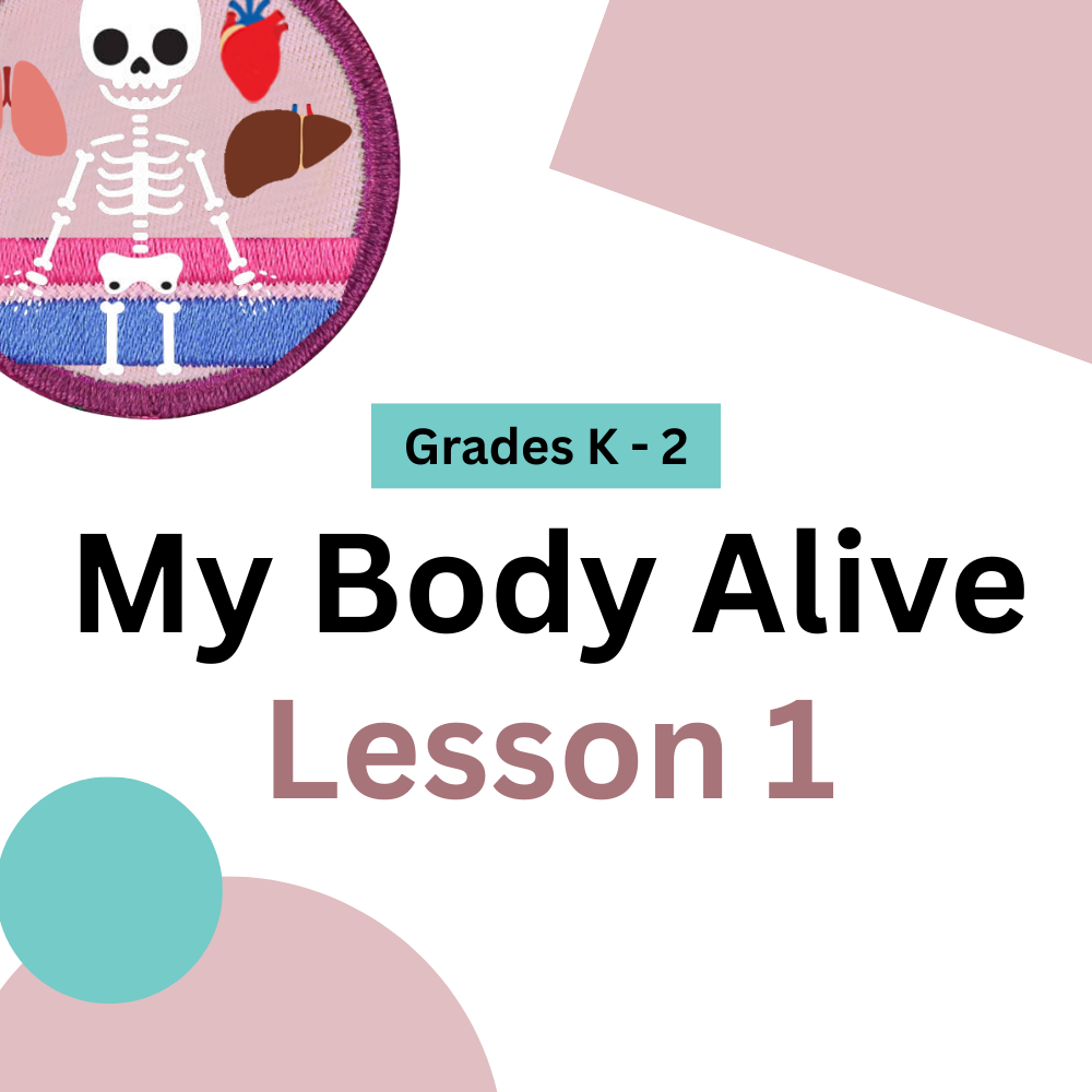 K-2: Sensory Superstars