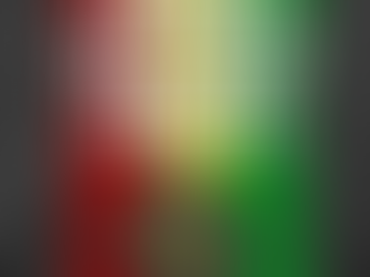 Black History Month Newsletter for OLBCF