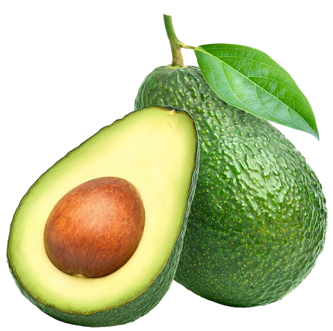 VEGAN  SUSHI JAPAN-2