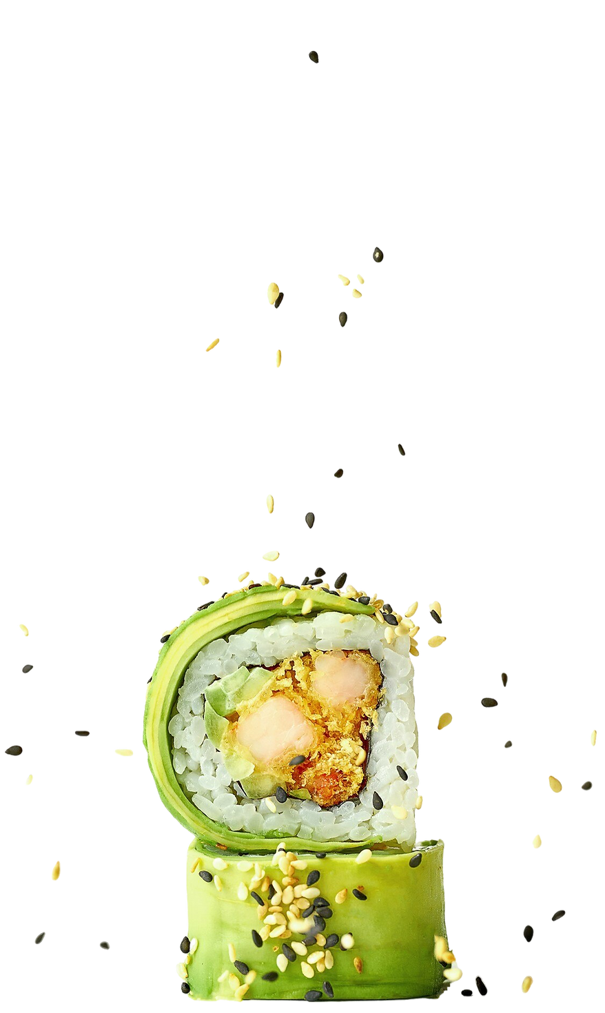 VEGAN  SUSHI JAPAN-30