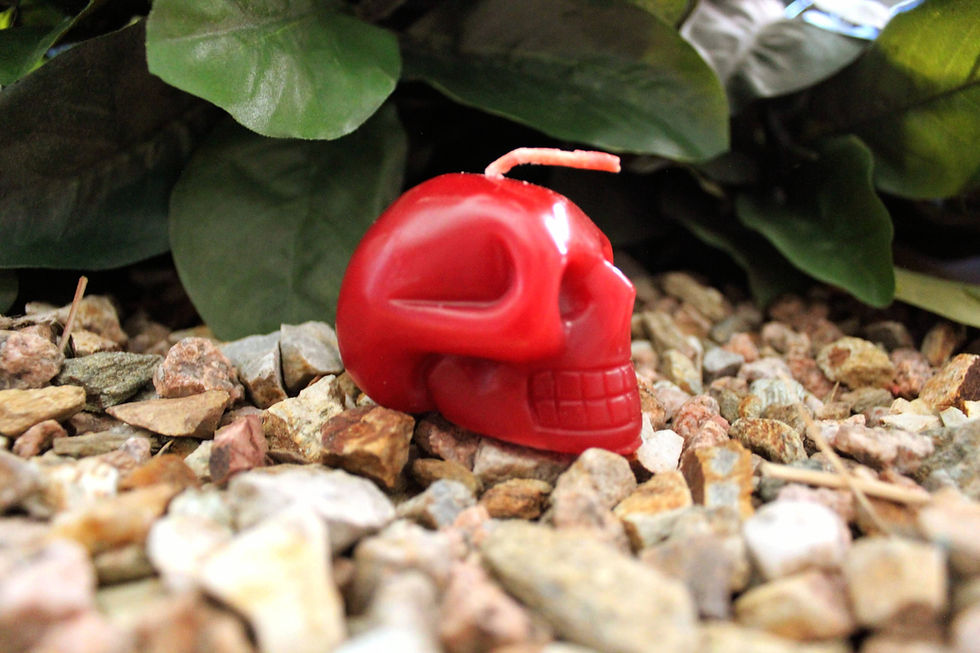Thumbnail: Mini Skull Candles