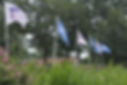 DSC_0110.jpg