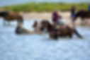 Strand 06.jpg
