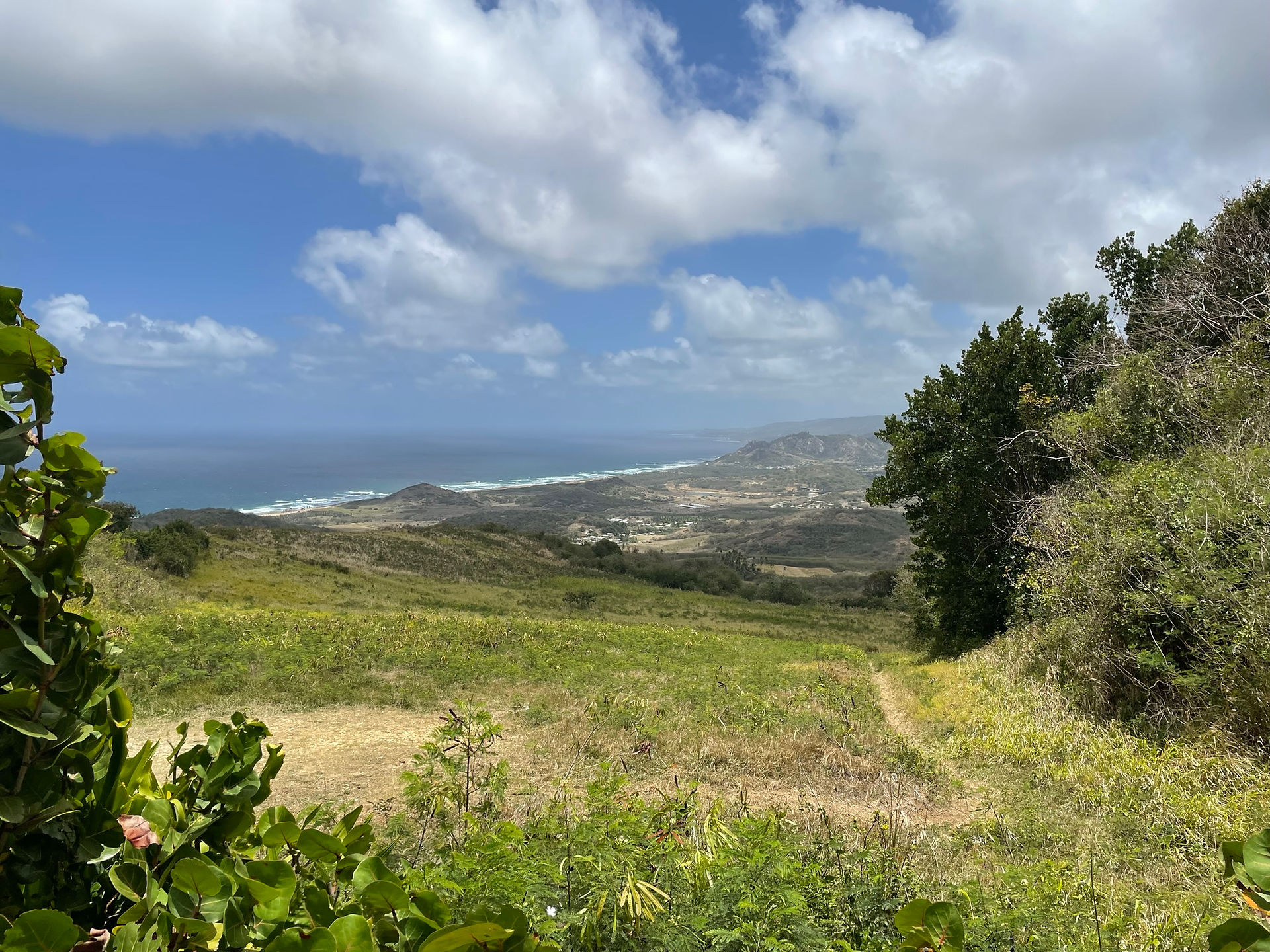 Mt. Hillaby in Barbados