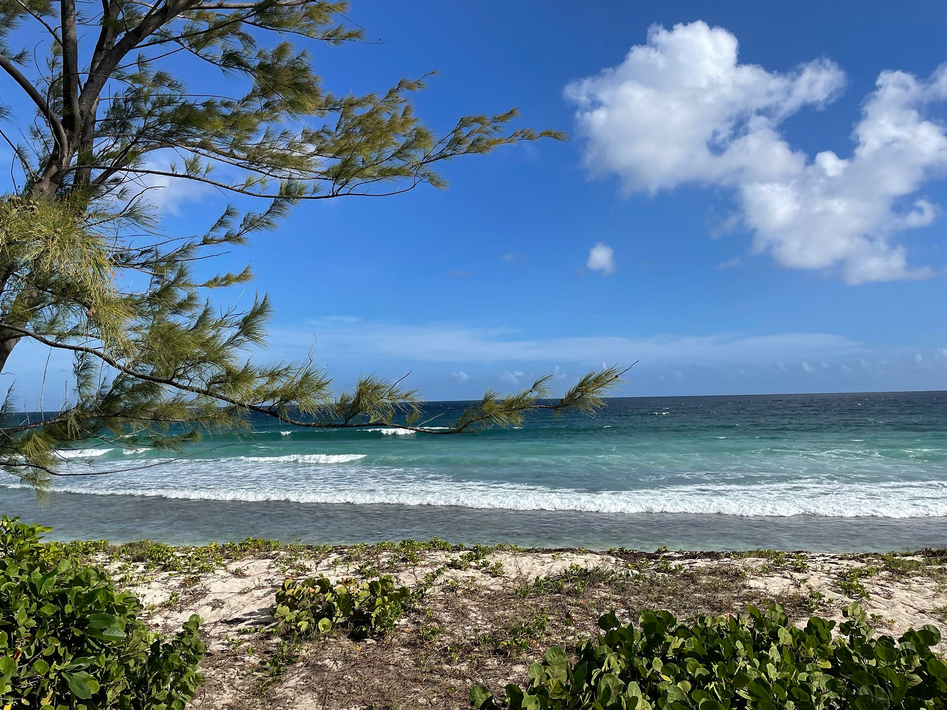 Private Beach in Barbados