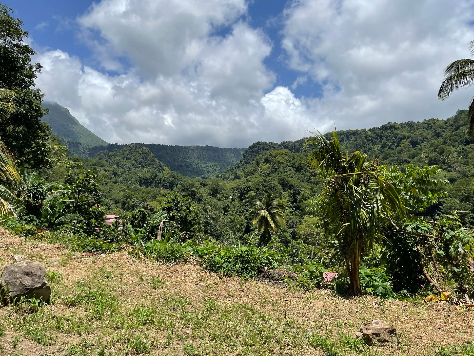 Valley in Dominica