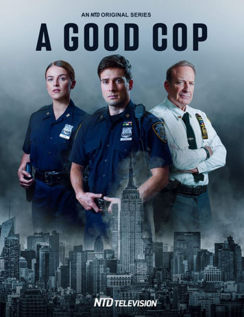 A GOOD COP