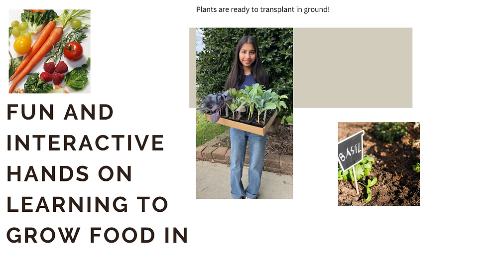 Fun And Interactive hands on learning to grow Food 