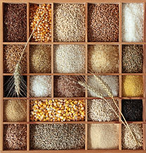 Whole-Grains2.jpg