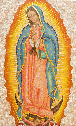 Our Lady of Guadalupe CAMPAIGN (2).png