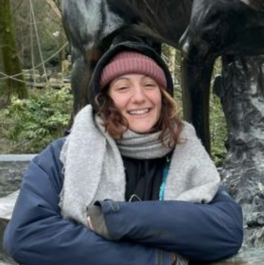 Screenshot 2025-06-11 at 13.52.33.png