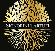 Capture d’écran 2021-08-25 à 17.25.56.png