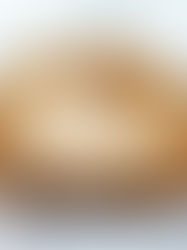 Pumpkin Bread (Regular or GF)