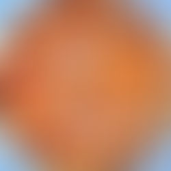 My Vegan Apricot Tart is a delightful way to utilize summer apricots. While it may appear intricate, this dessert is actually quite easy to prepare and perfect for serving at gatherings. 