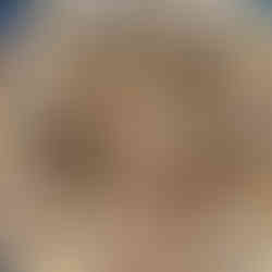 Simple Oat Bran Muffins