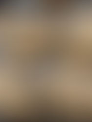 Rice and Almond Flour Blueberry Muffins