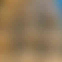 Einkorn and Oat Flour Nectarine Muffins