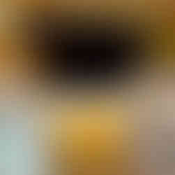 Peach Nectarine Apricot Galette