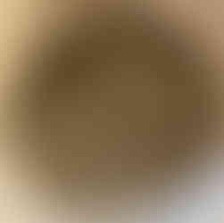 Gluten Free Fudgy Avocado Double Chocolate Chip Cookies 