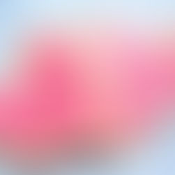 Low Sugar Low Carb Sugar Cookies