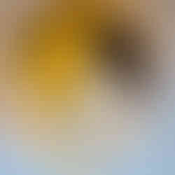 Healthy Blueberry Lemon Muffins