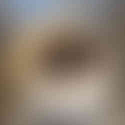 Banana Almond Butter Chocolate Chip Cookies