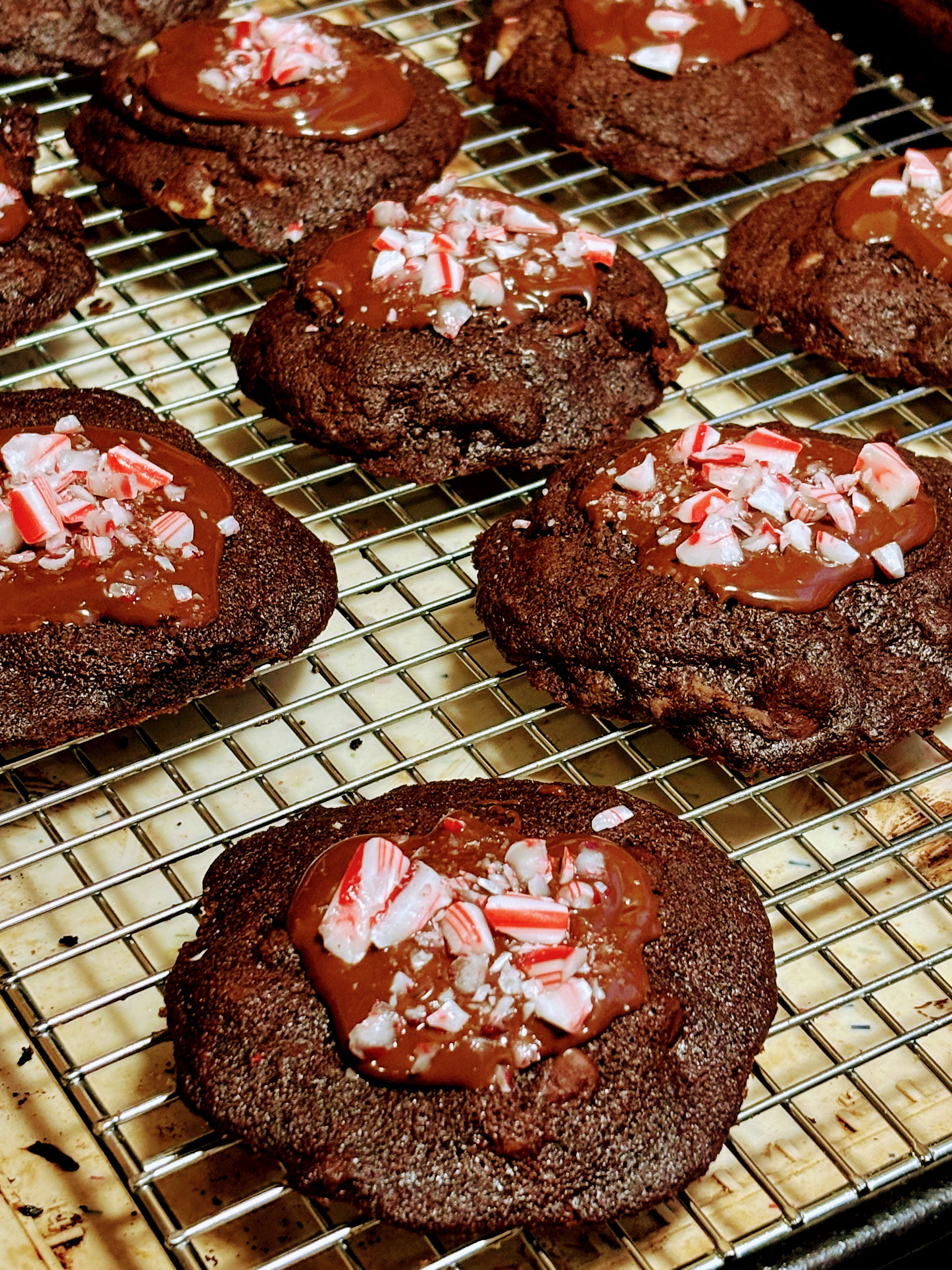 Double Chocolate Peppermint Cookies