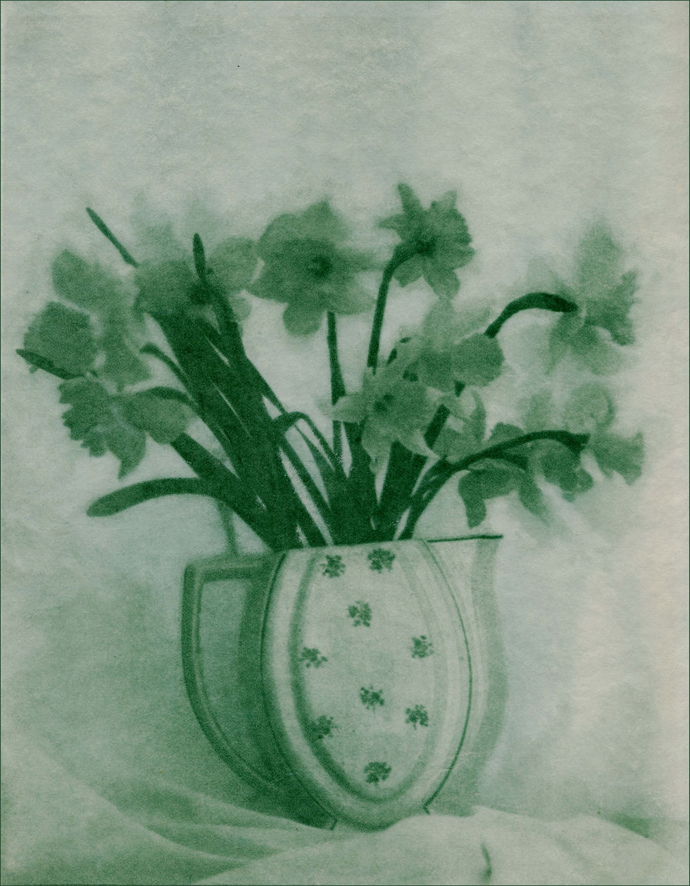 NARCISTHEIRE