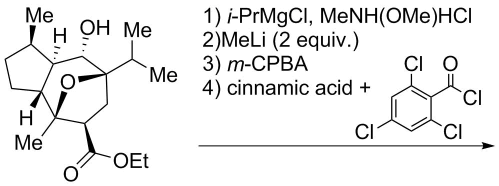 Reaction Sequence 16