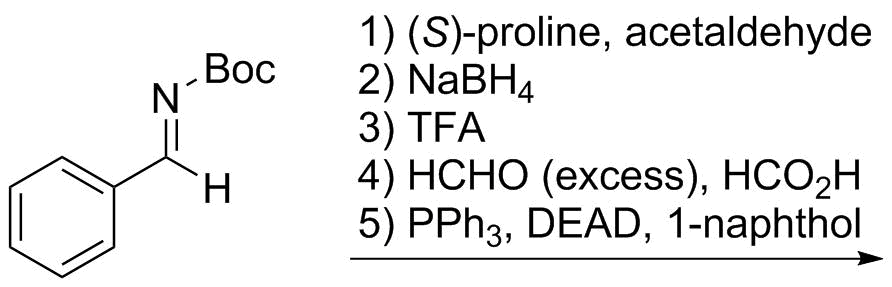 Reaction Sequence 5