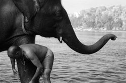 Elephant man crouch.JPG