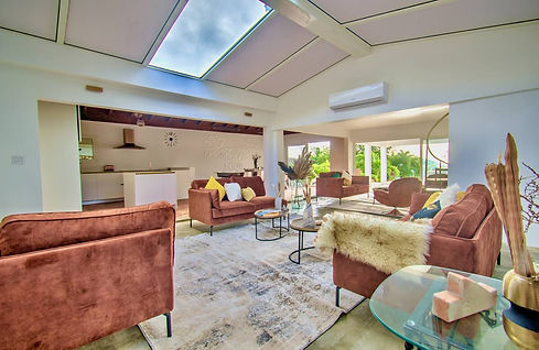 Living Room + skylight.jpeg