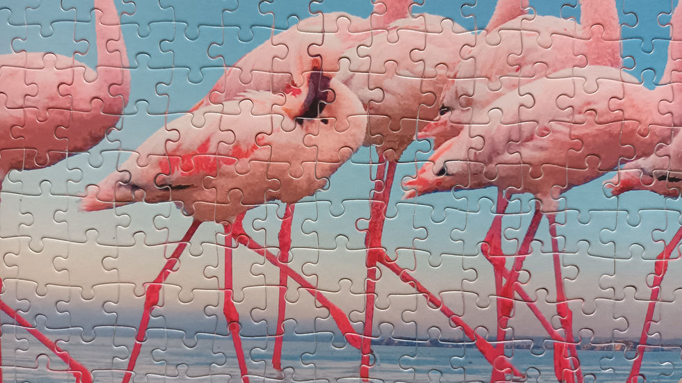 Miniature : La traversée des calanques - Puzzle 500 ou 1000 pièces