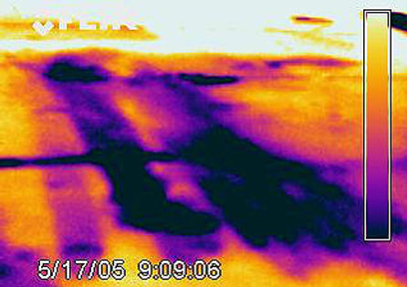 Water-Damaged Rubberized Roof