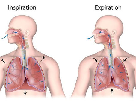 How Your Breathing Affects Your Brain, Body, and Energy
