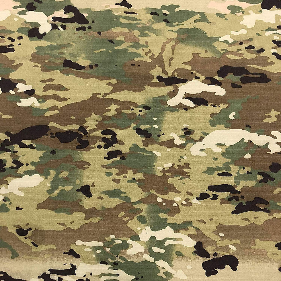 camo ocp background.jpg