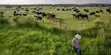 texas-GettyImages-1498290075.avif